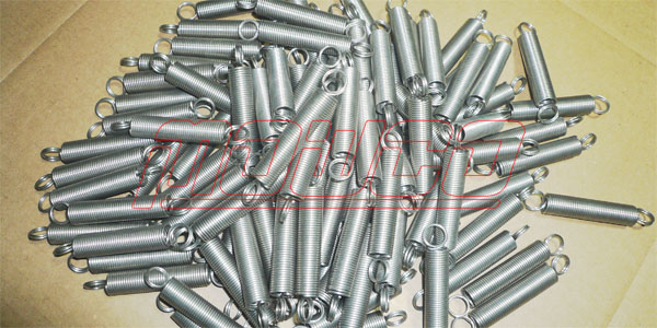 Stainless Steel Spring